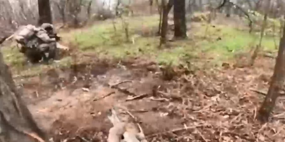 Бій під Кринками, ЗСУ Кринки, ЗСУ Херсонська область, ЗСУ контрнаступ, ЗСУ морська піхота