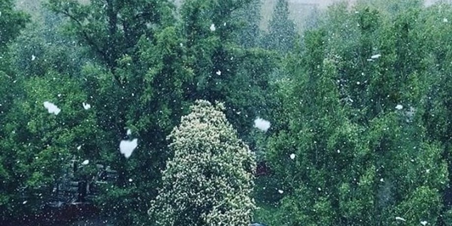 Фото из открытых источников