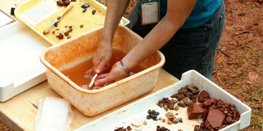 археологи. раскопки, останки, останки энозавра, окаменелости рептилии, раскопки в Польше