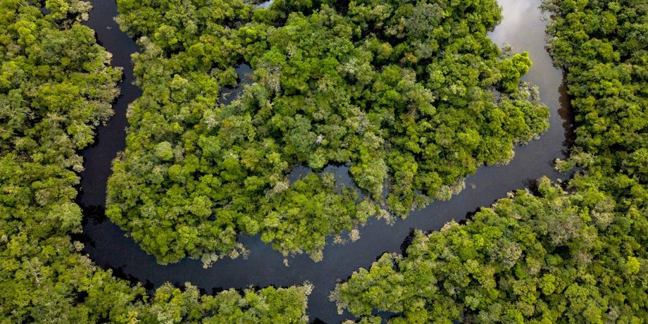 Фото: Luis Barreto/WWF UK