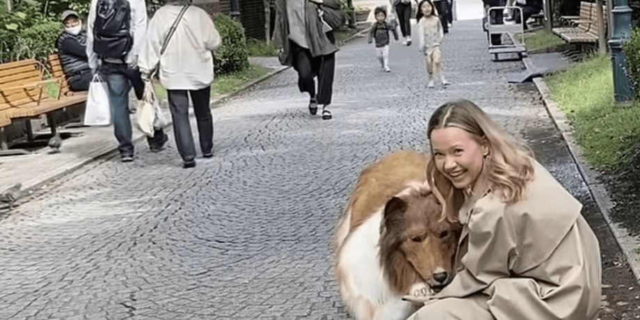 японец в костюме колли, девушка, парк, люди на прогулке