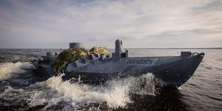 Sea Baby, морской малыш, морской дрон, надводный дрон