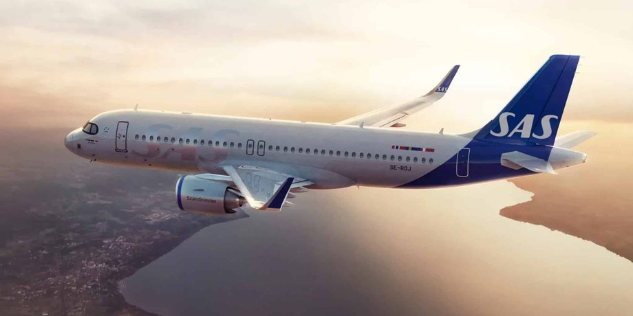 Самолет, SAS, самолет в небе, грызун на борту самолета, мышь выпрыгнула на пассажирку, бортовое питание, еда в самолете, полет, экстренная посадка