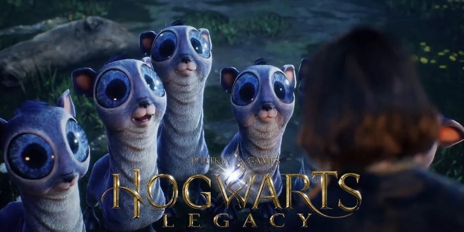 Hogwarts Legacy, місячний телець, фантастичні звірі, фантастичні тварюки, як зловити місячного тельця