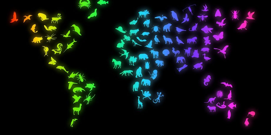 Фото пользователя OpenClipart-Vectors на Pixabay