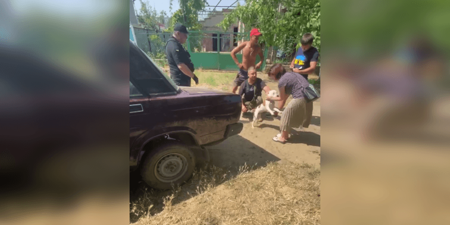вкрали собаку, викрадення собаки, вкрали собаку в Білгороді-Дністровському, собака