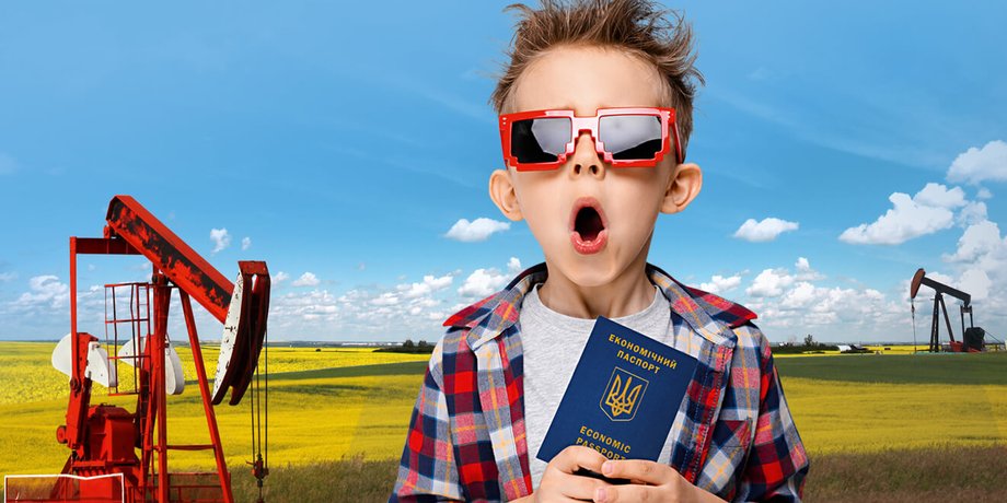 экономический паспорт