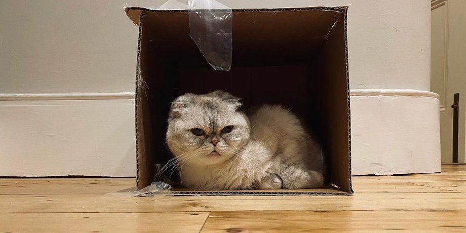 Оливия Бенсон