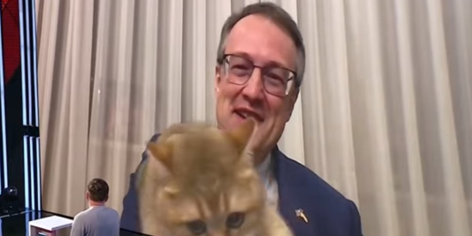 МВД, Антон Геращенко, прямой эфир, кот, курьез,