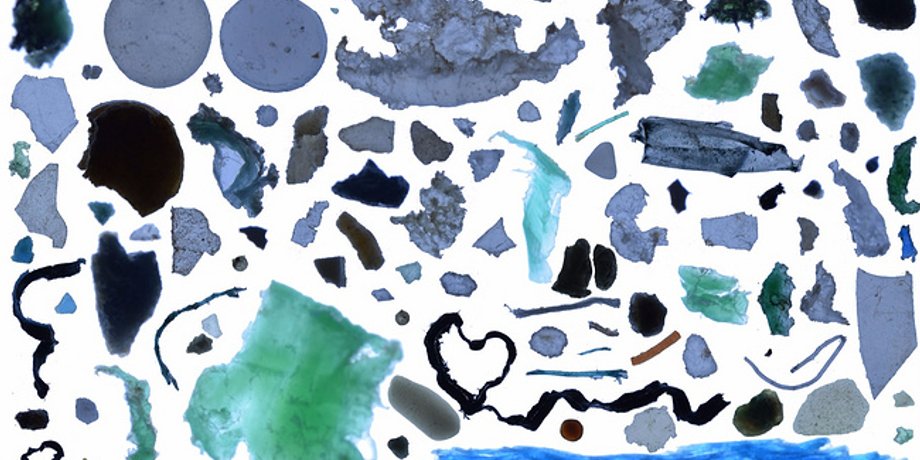 Коллаж из пластика, собранного в Северном Ледовитом океане / Фото: Tara Expeditions Foundation
