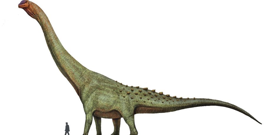 динозавры, кости, Аргентина, титанозавры, dinosaur