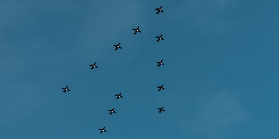 Фото: Flygskolan