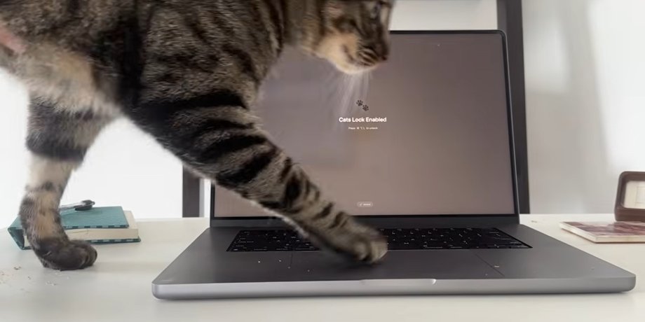 Cats Lock — новий додаток для MacBook