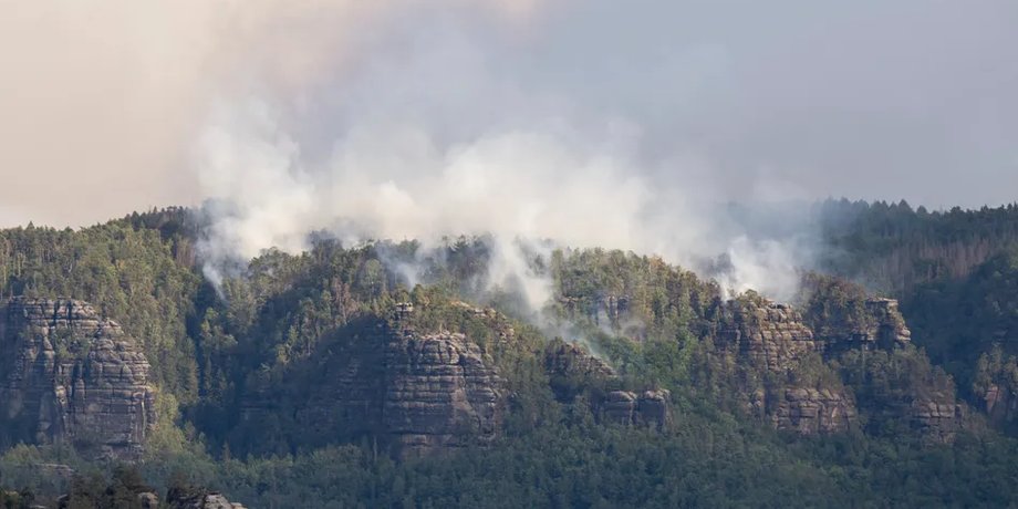 Пожар в Саксонской Швейцарии, пожар германия, саксонская швейцария