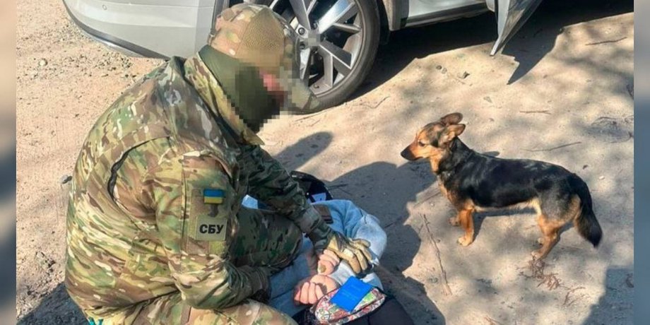 СБУ, задержание, российский агент, собака, обстрелы, Харьков