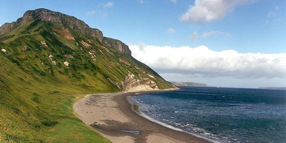Фото: Wikimedia