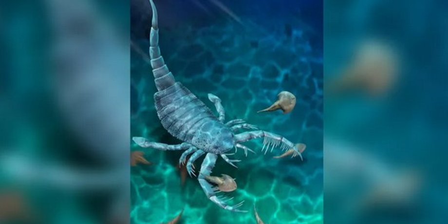 Морський скорпіон, евриптерид, ракоскорпіон