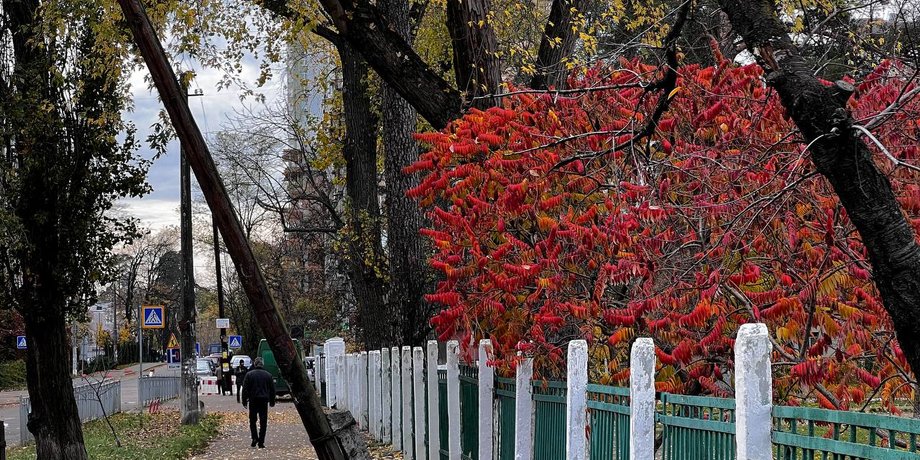 Осень в Украине