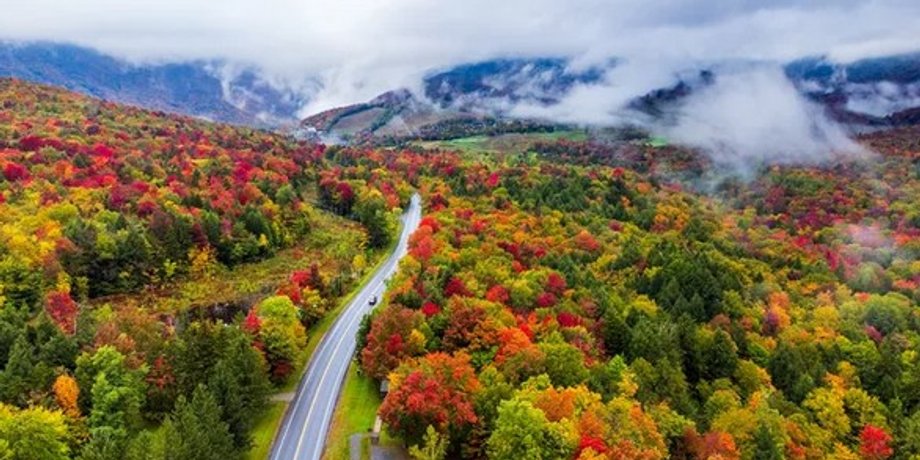 ліс, осінь
