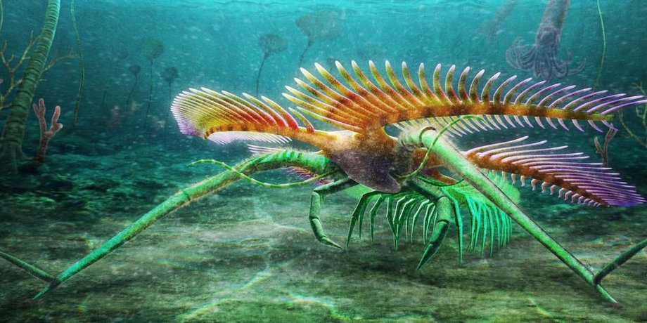 Tomlinsonus dimitrii, море, рисунок, фото