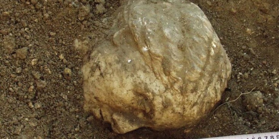 во время раскопок археологи обнаружили римский артефакт