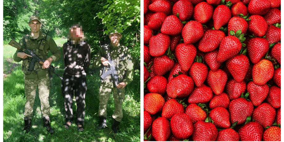 поляк, польша, гражданин польши, украина, клубника, поляк пытался попасть в украину для сбора клубники, пограничники