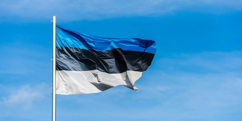 Естонія, війська в Україні, відправлення військ в Україну