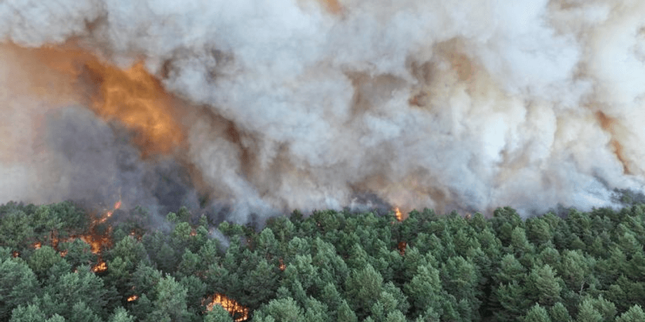 Франція охоплена пожежами: під Парижем горить ліс Фонтенбло, день взяття Бастилії під загрозою зриву