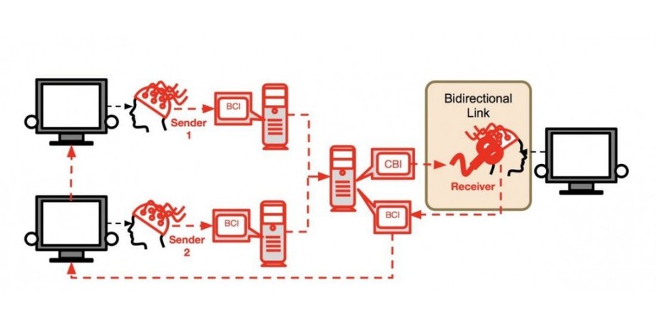 BrainNet