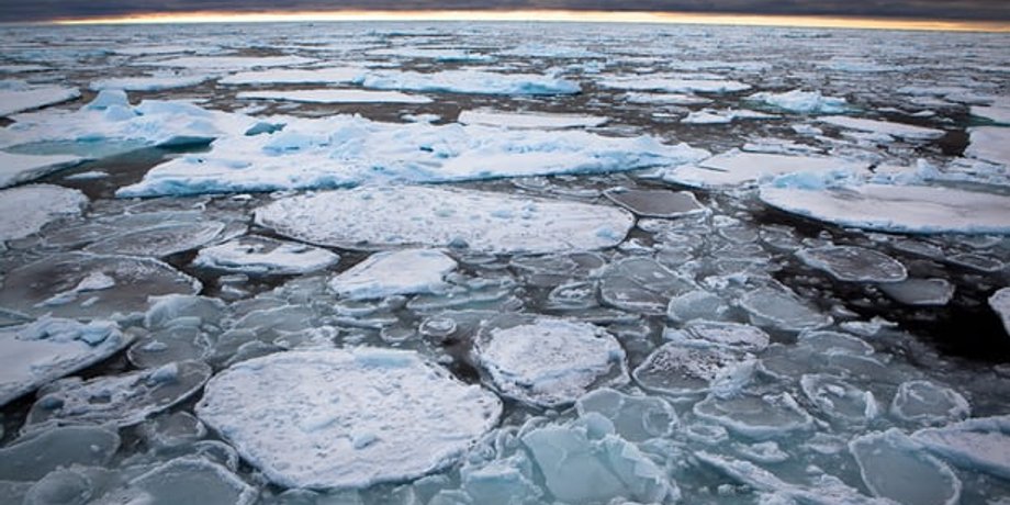 Фото: Nick Cobbing/Greenpeace