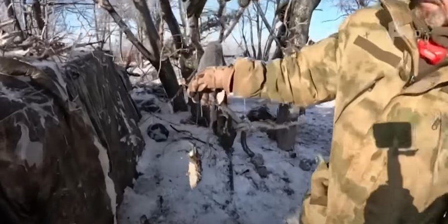 гризуни на передовій, проблема гризунів на фронті
