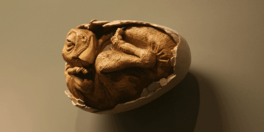 динозавр, велоцираптор, дослідження, гніздо, яйця, череп, хижак, дитинча, вчені, паразит, паразитизм, відкриття, зозуля, вид, птах, виживання, стратегія