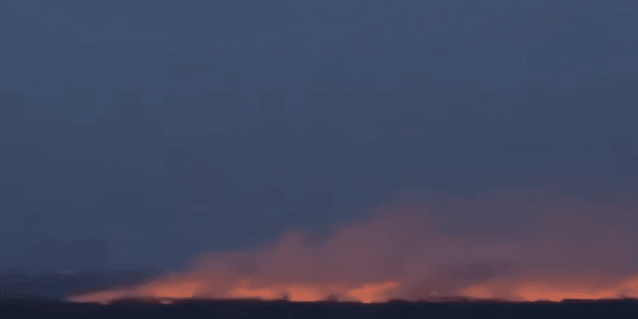 пожежа, Екопарк Осокорки, Осокорківські луки, озеро Тягле, київ