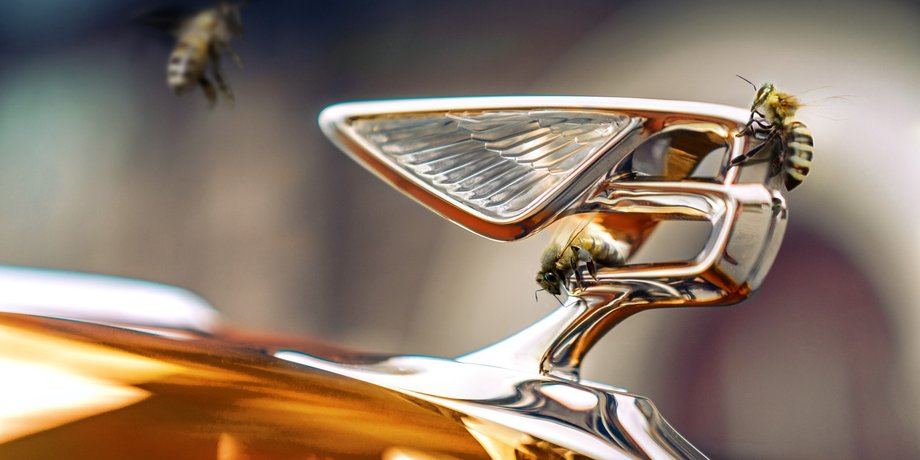логотип бентли, мед бентли, мед Bentley, пасека Bentley, Flying Bees