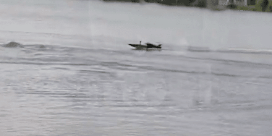 реванш у морі