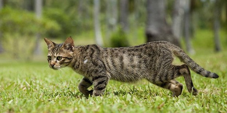Фото: istock