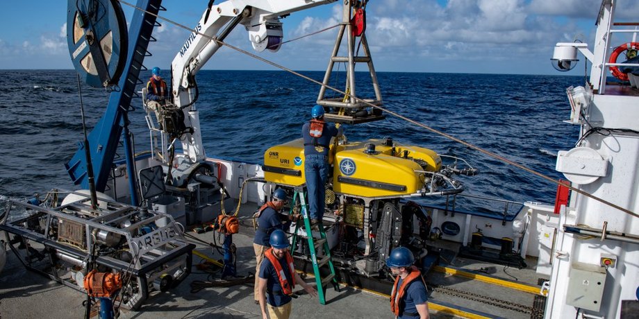 Фото: nautiluslive.org