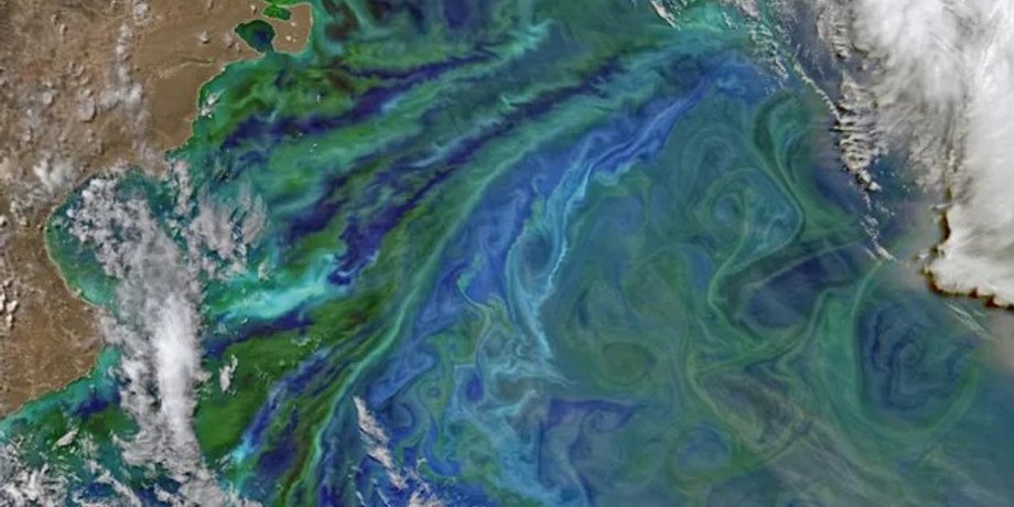 океан, океан із космосу, океан водорості