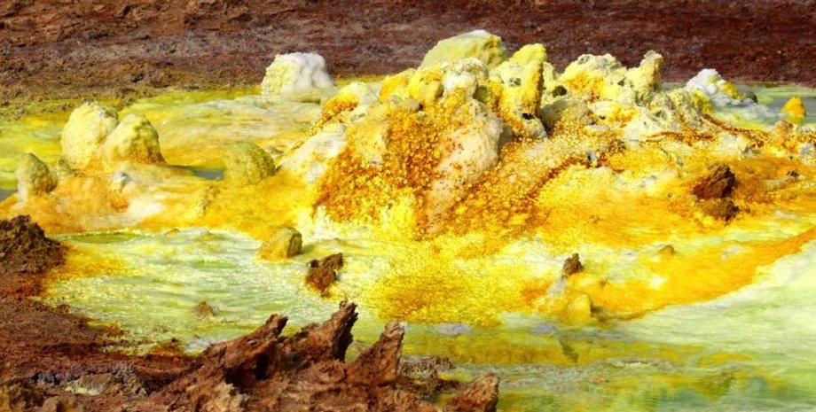 археи, форма жизни