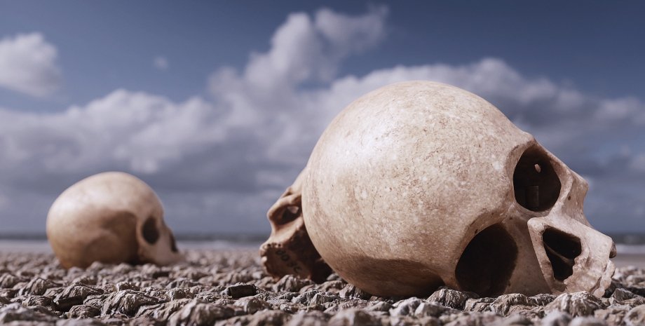 черепа останки, смерть, кости