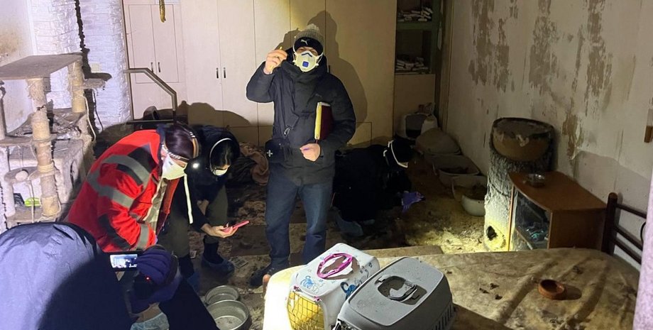 приют В приюте под Киевом погибли десятки животных