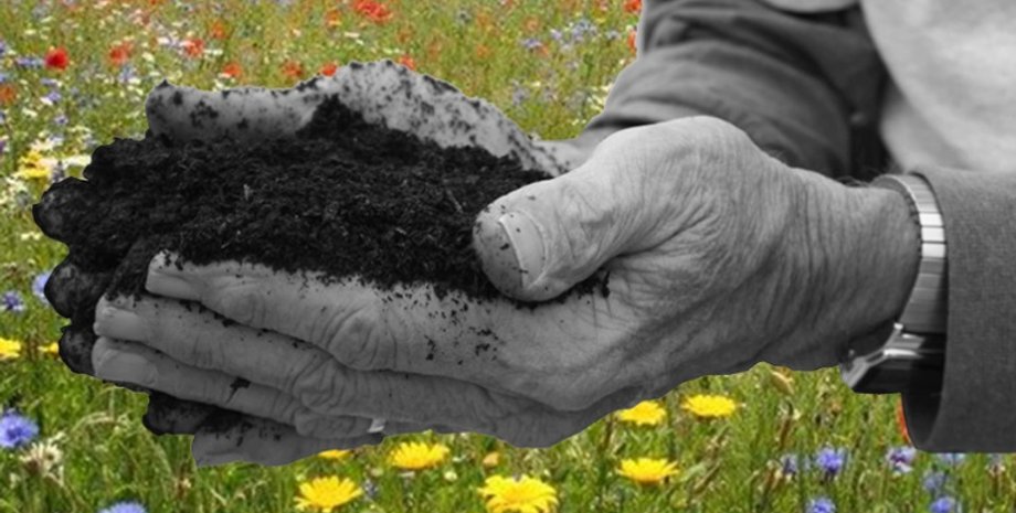 Фото: Urban Death Project