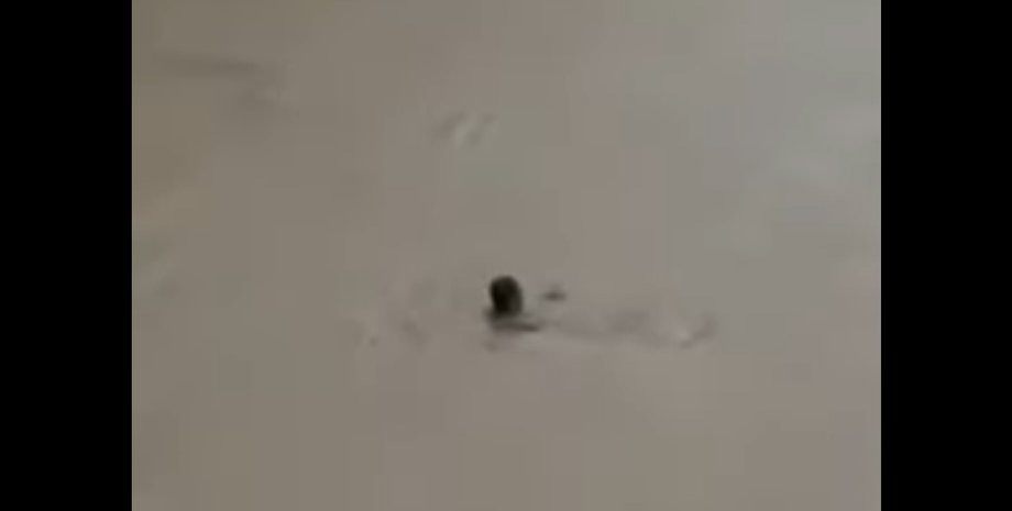 потоп в керчи