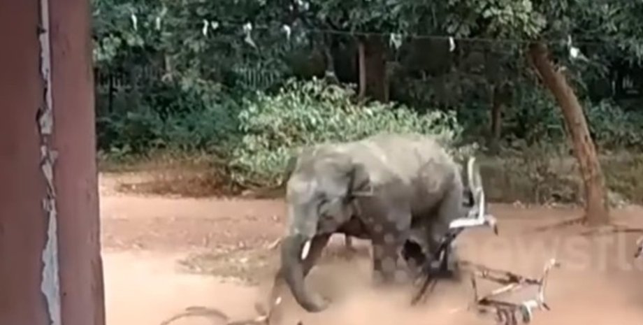 Фото: Скриншот