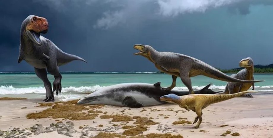 динозавры, окаменелости динозавров, динозавры окаменелость