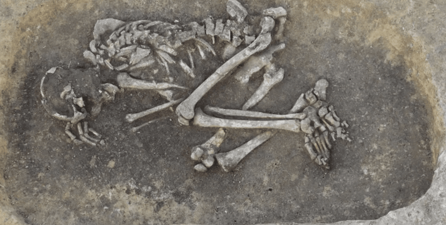 возбудитель чумы, бронзовый век, Yersinia pestis, инфекционная болезнь, легочная чума, бубонная чума, септическая чума, захоронение, археолог, археологи, исследования, кладбище, останки