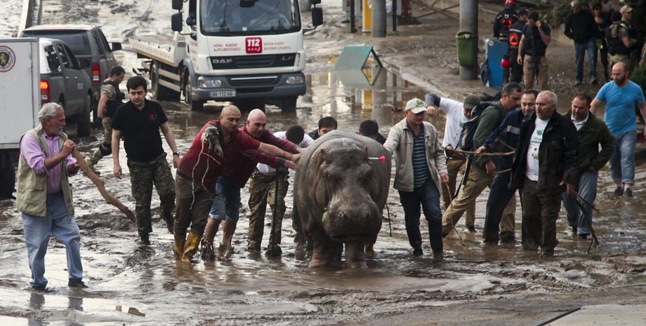 Фото: Бесо Гулашвили/ пресс-служба премьер-министра Грузии