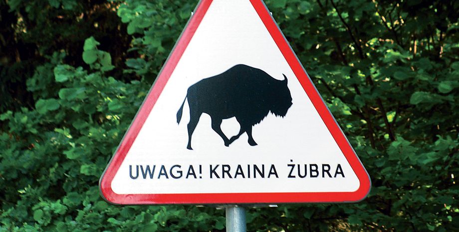 Фото: Фокус