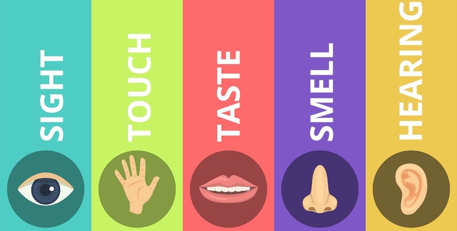 чувства, люди, бактерии, организмы