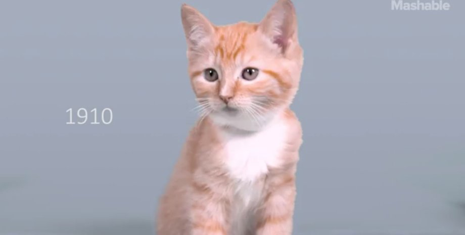 Скриншот видео